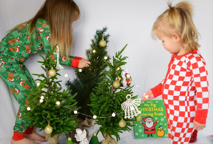 ginger-shred-men two piece pjs